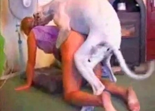 Whore fucks with animals