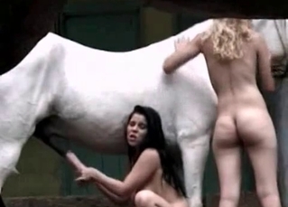 Two classy broads playing around with a horse