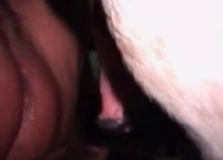 Tight pussy destroyed by a horse