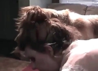 Dog cock getting serviced orally