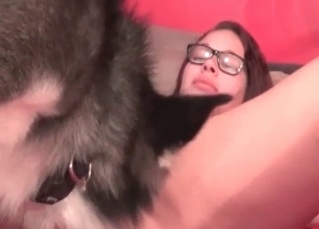 Husky seduced by a redheaded hottie