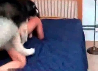 Hottie loves her chubby husky