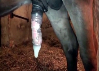 Obedient pony showing its true colors