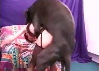 Zoophile babe and her black dog