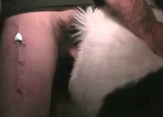 Impressive cock on that horse