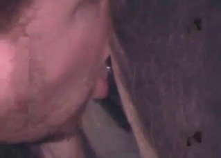 Horse gets it in the butthole