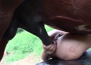 Stallion enjoys this health dose of anal
