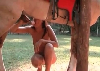 Horse cock being pleasured on cam