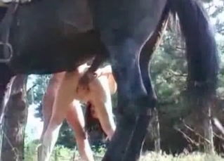 Pony fucking outdoors