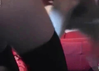 Brown puppy fucking a blonde girl