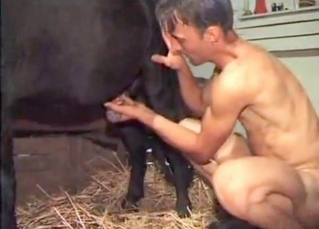 Horse orgasming with that dude’s help